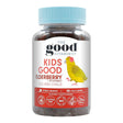Kids Good Elderberry + Ivy Extract Ills & Chills