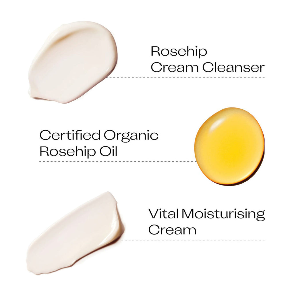 Trilogy The Dewy Skin Ritual _4