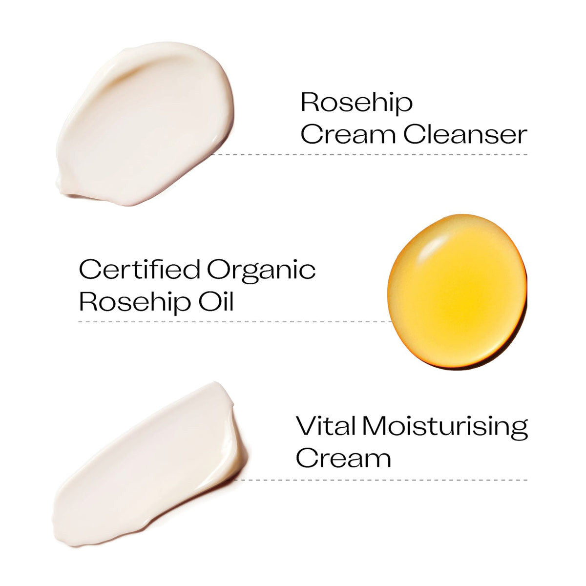 Trilogy The Dewy Skin Ritual _4