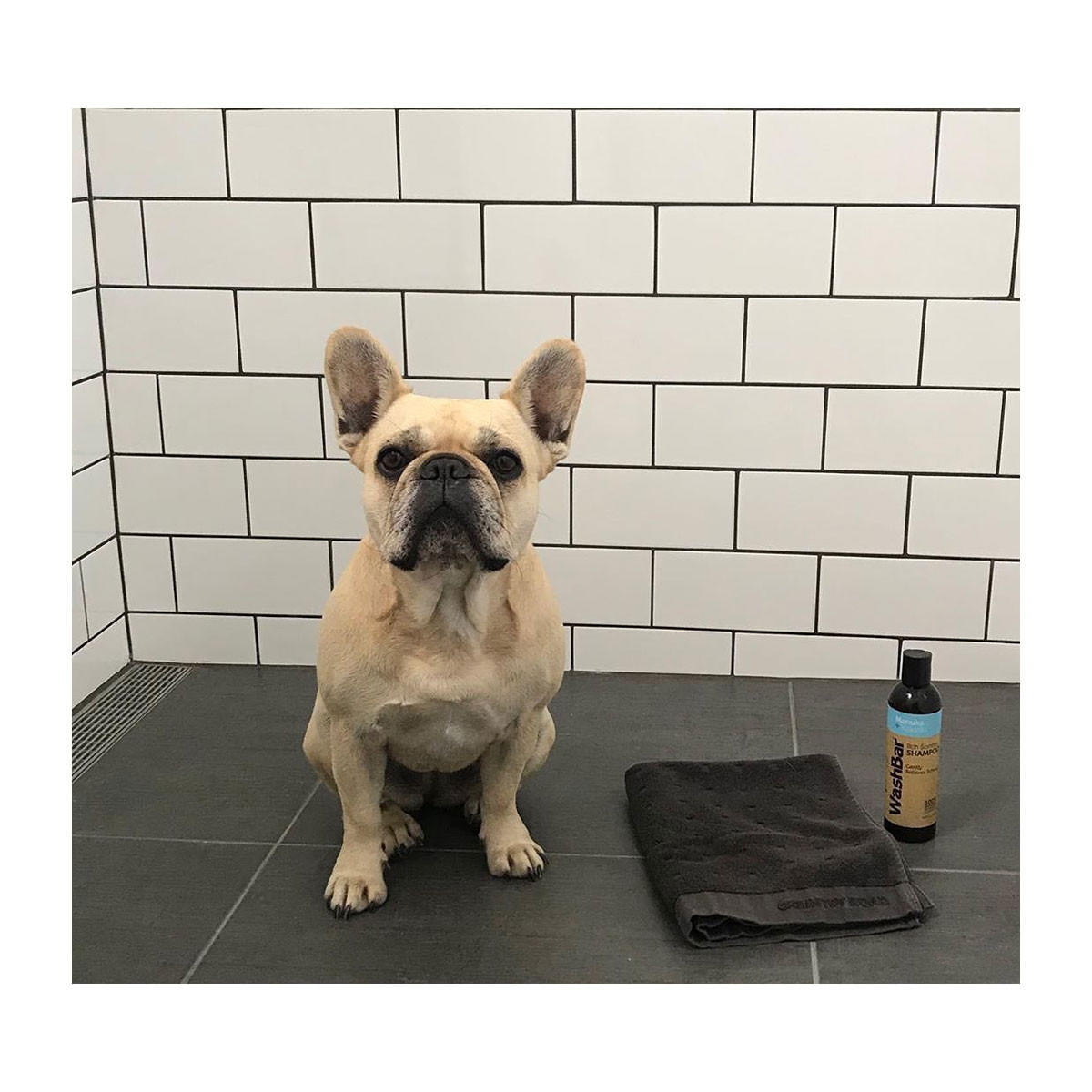 WashBar Itch Soothe Shampoo Manuka Kakadu_2