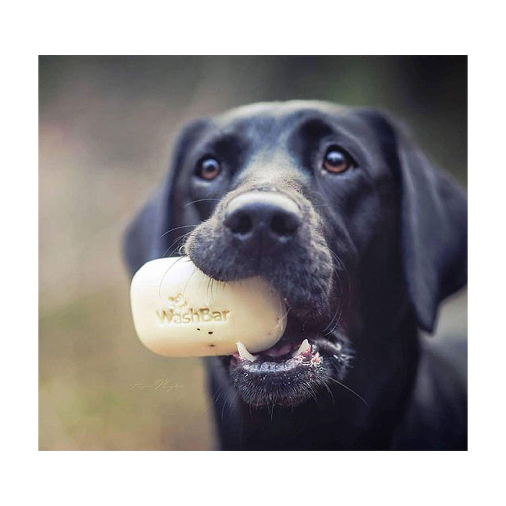 WashBar Original WashBar Soap for Dogs_3