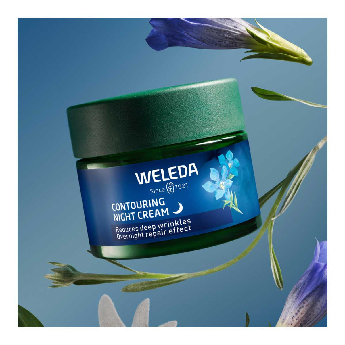 Weleda Contouring Night Cream - Blue Gentian & Edelweiss _3