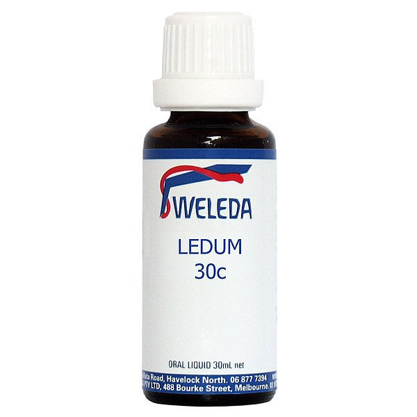 Weleda Ledum Palustre 30c_1