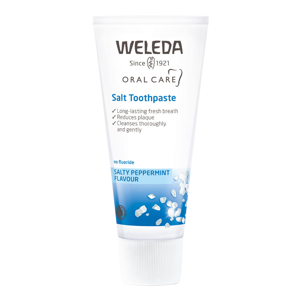 Buy Salt Toothpaste by Weleda I HealthPost NZ - 75ml | HealthPost NZ