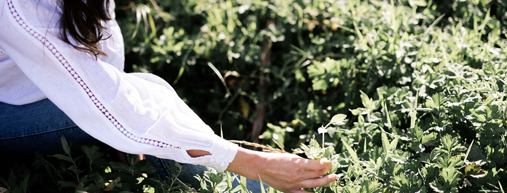 The Herb Farm - woman picks at leaves