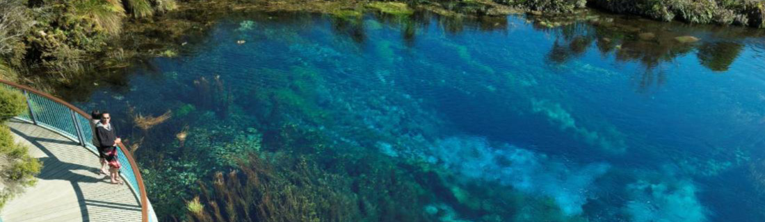 Te Waikoropupū Springs