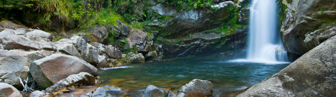 Wainui Falls