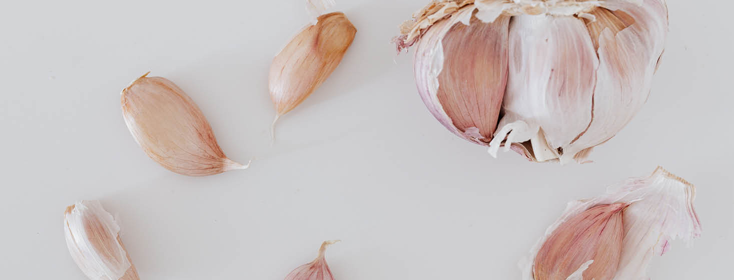 Aged Garlic for Immune System and Healthy Heart