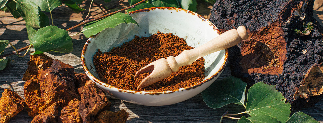 close up of Chaga mushrooms surrounded by leaves and crushed inside a bowl