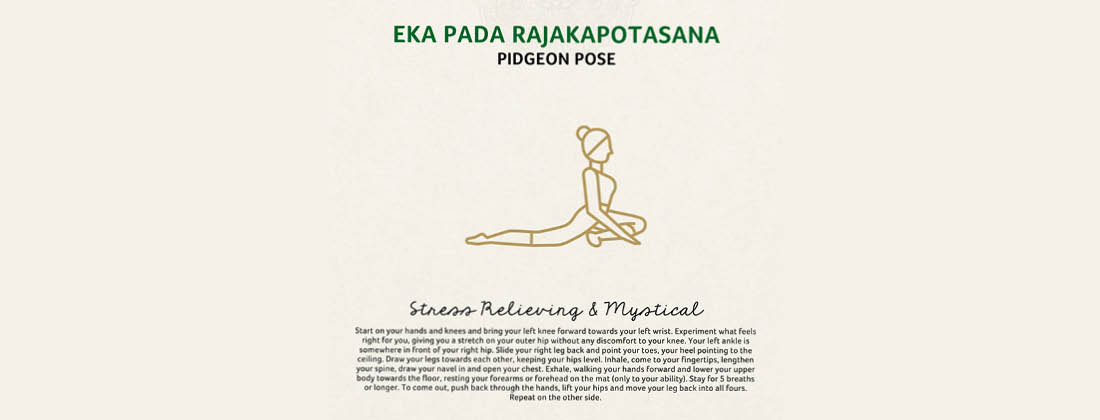 Eka Pada Rajakapotasana Pidgeon yoga pose