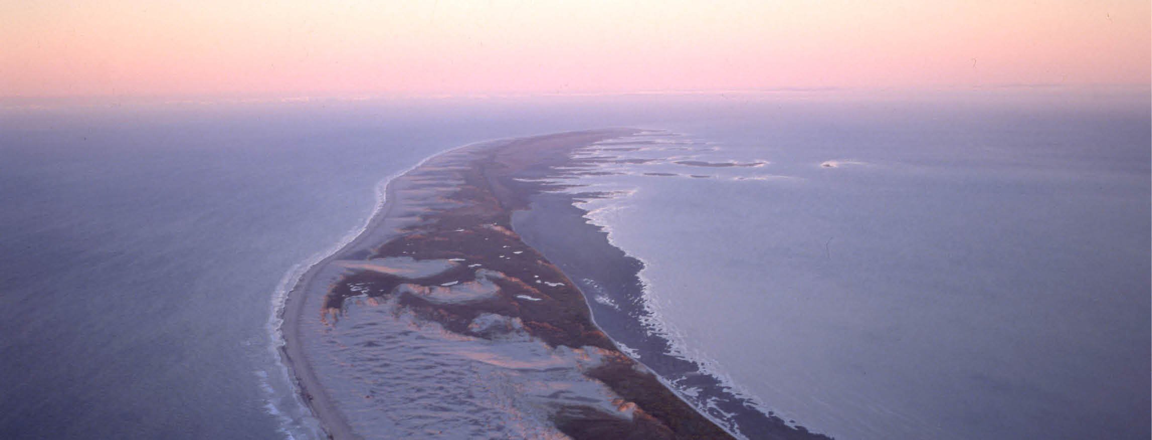 healthpost-nature-trust-expands-conservation-efforts-at-farewell-spit-banner.jpg