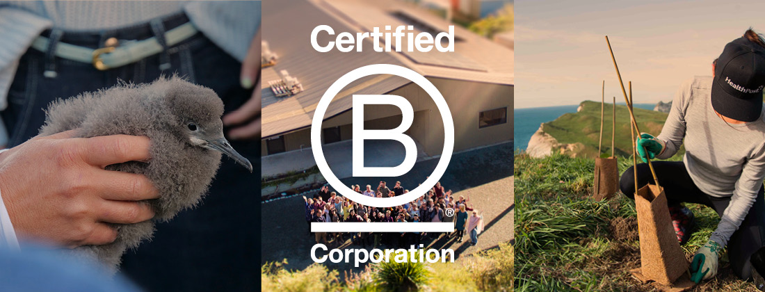 Our journey to becoming a B Corp