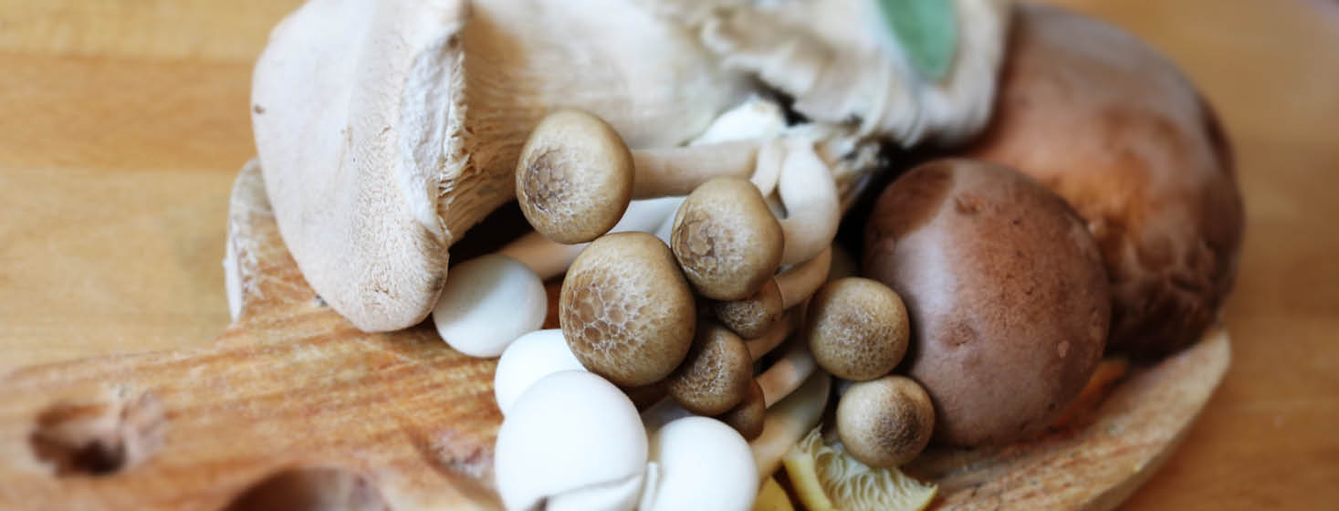 Healthy Dairy and Gluten Free Mushroom recipes