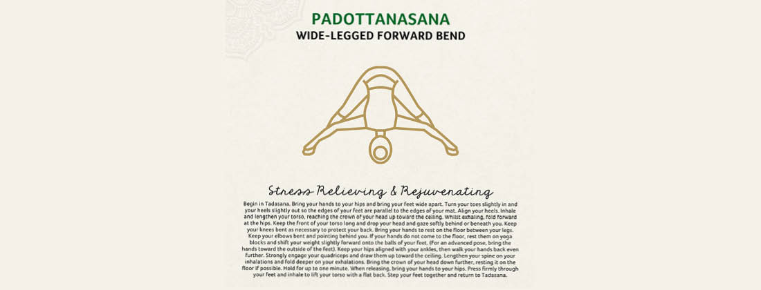 Padottanasana Wide-Legged Forward Bend yoga pose