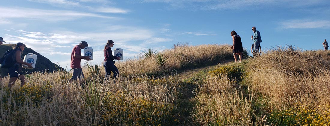 Pakahā chicks arrive at Wharariki Ecosanctuary