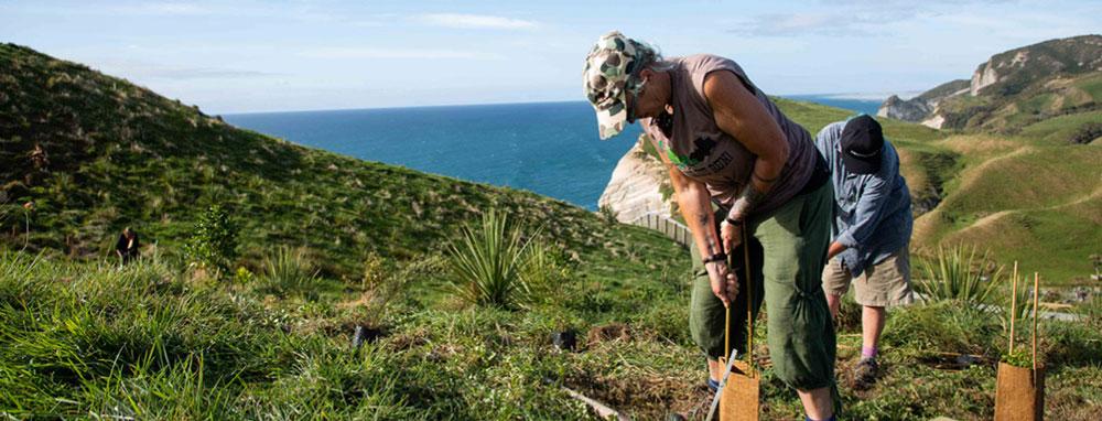 Planting native trees for regeneration and connection