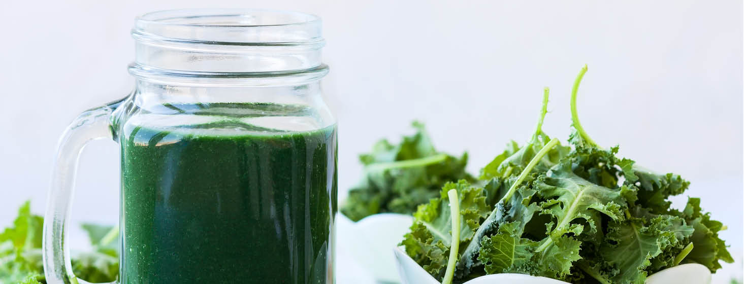 Spirulina Recipes