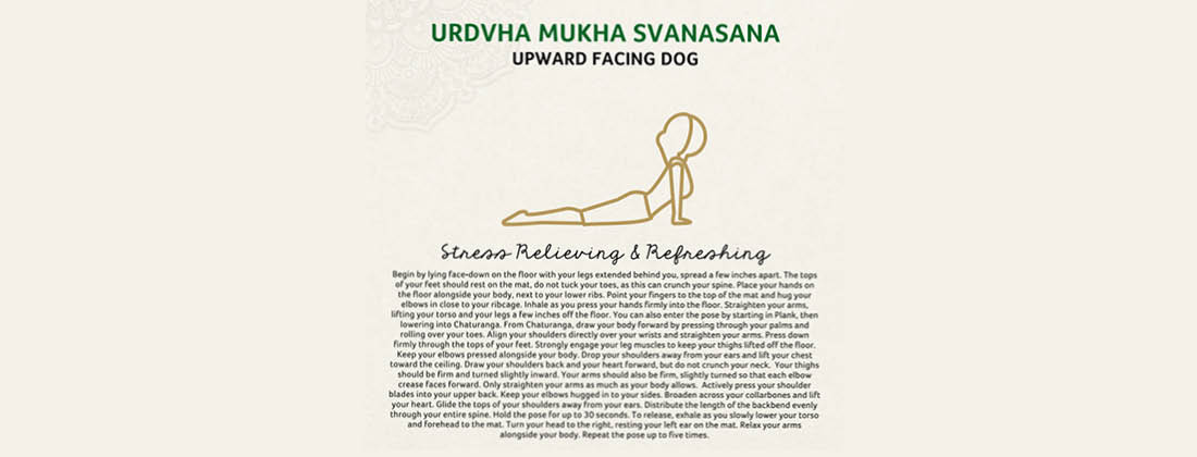 UrdvhaMukha Svanasana Upward Facing Dog yoga pose