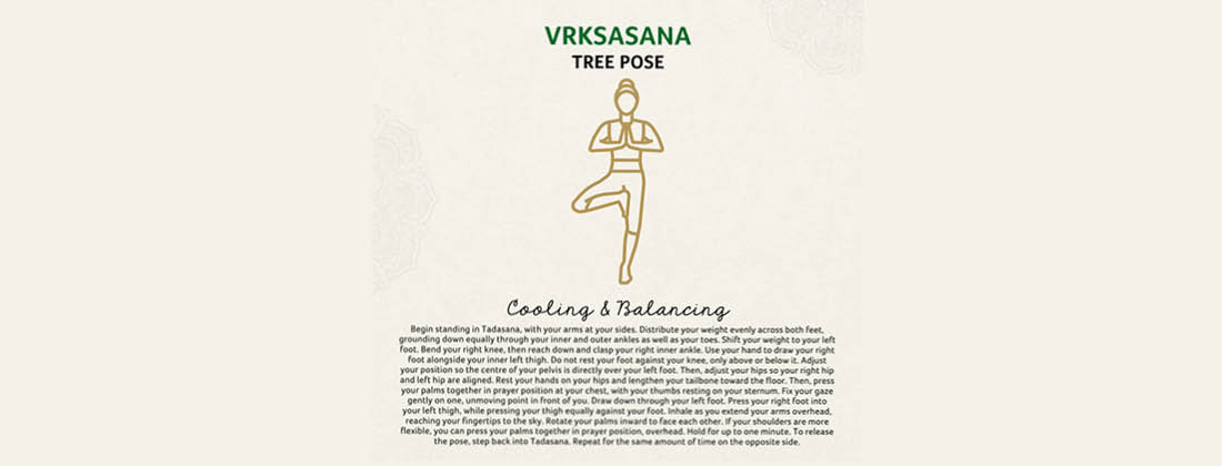 Vrksasana Tree yoga pose