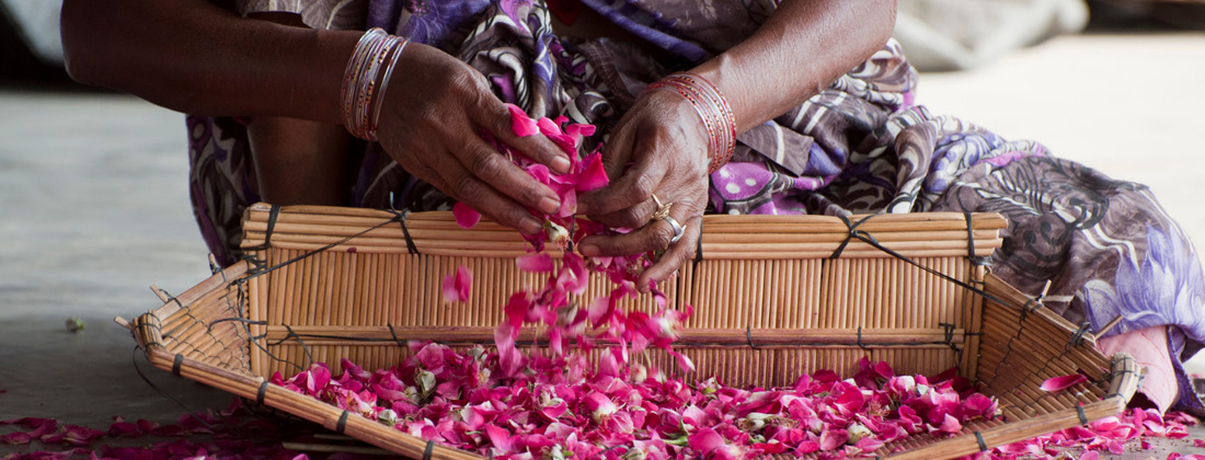 Organic India Rose Lady Works With Roses