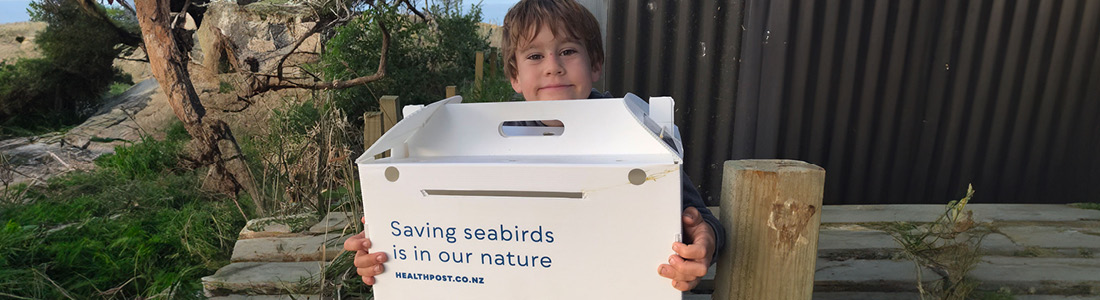 Young boy holding box for pakaha birds translocation