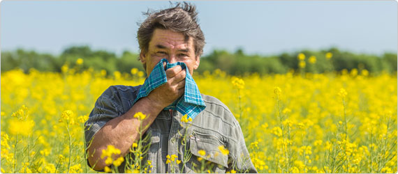 What's the deal with Allergies and Hay fever?