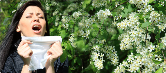 Think you’ve tried everything for Hayfever & Allergies? Think again!