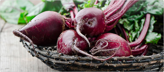 Getting to the Root of Beetroots