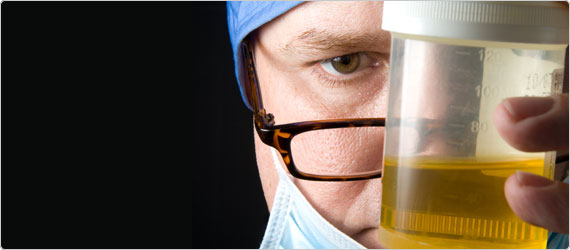 cranberry-banner Cranberry: the natural answer to Urinary Tract Infections (UTIs)