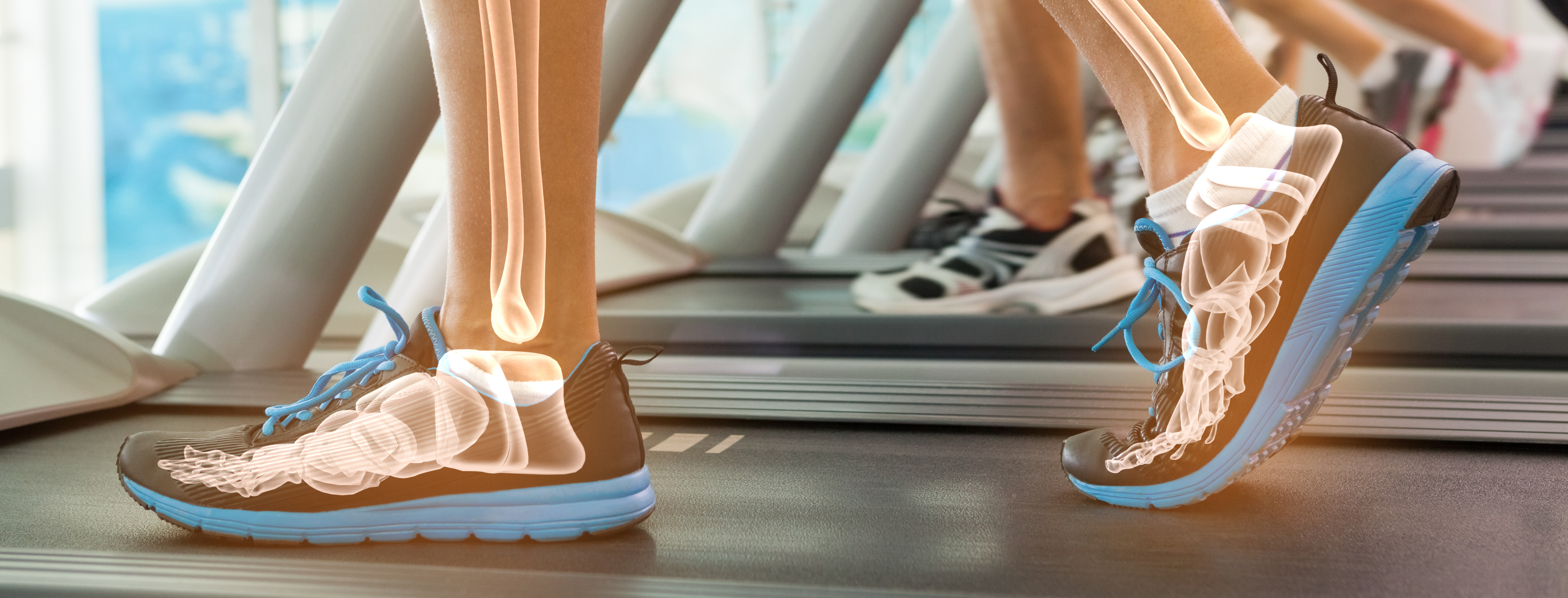 Glucosamine & Chondroitin for Joint Care