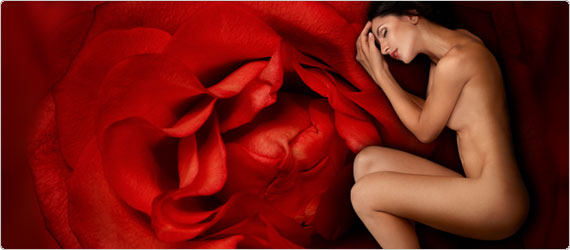Menstrual cycles 101