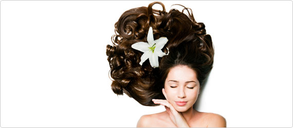 silica130813-banner-v2 Make every day a great hair day with silica!
