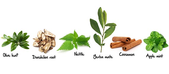 weight-management-herb-banner